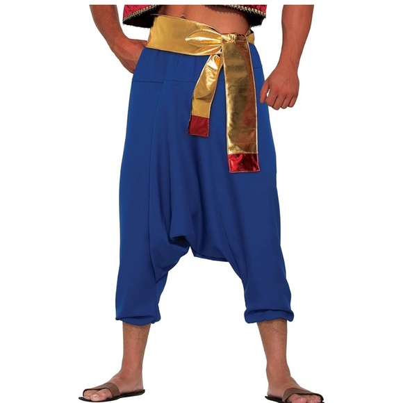 Aladdin Genie Desert Prince Harem Pants Size - Fits up to 34in waist Inc Lamp - Picture 2 of 7